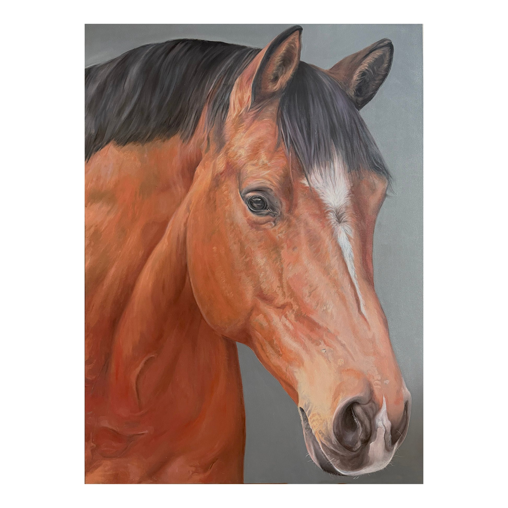 "BILL" Oil on Canvas 36" x 48"