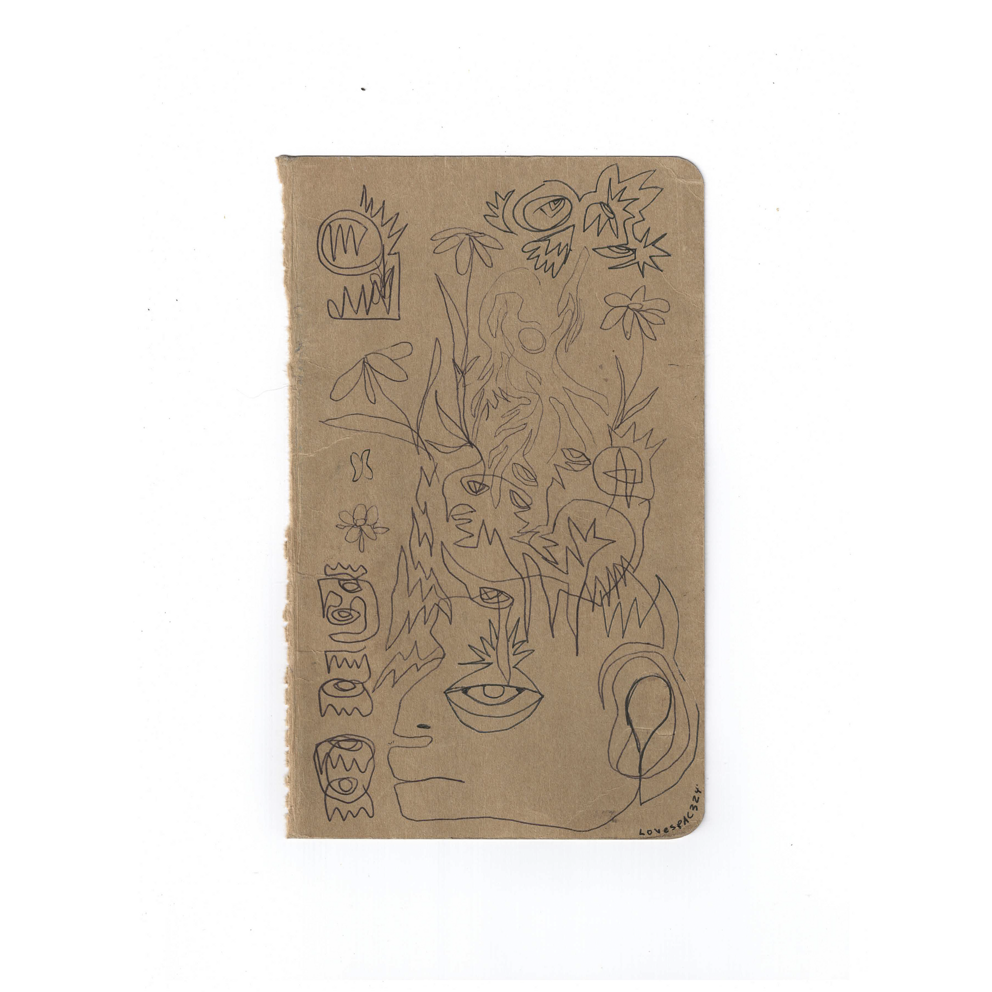 Wondering Pollen : 2025 Sketchbook Original Artifacts